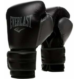 Everlast Powerlock 2R Gloves 16 oz Black