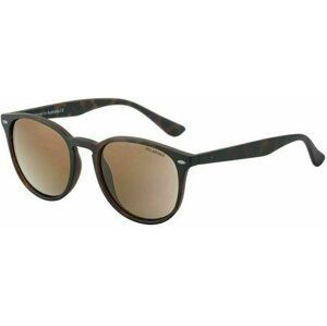 Dirty Dog Racoon 53607 Satin Tortoise/Brown Polarized L Lifestyle okuliare