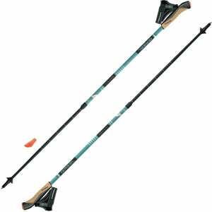 Gabel Stretch Lite A.I. Telescopic Poles Avio