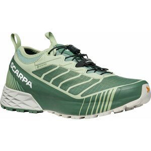 Scarpa Ribelle Run GTX Womens Mineral Green/Gray 41