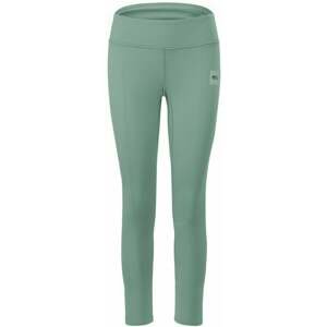 Picture Xina Pants Women Sage Brush L Outdoorové nohavice