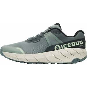 Icebug Arcus Womens RB9X GTX Green/Stone 37