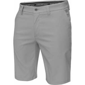 Galvin Green Paul Venti8+ Mens Shorts Sharkskin 38