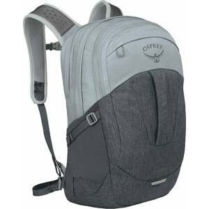 Osprey Comet Silver Lining/Tunnel Vision 30 L Batoh