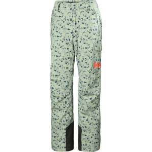Helly Hansen W Switch Cargo Insulated Pant Mellow Grey Granite XS