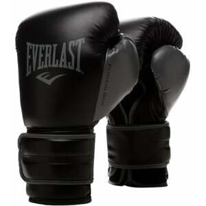 Everlast Powerlock 2R Gloves 14 oz Black