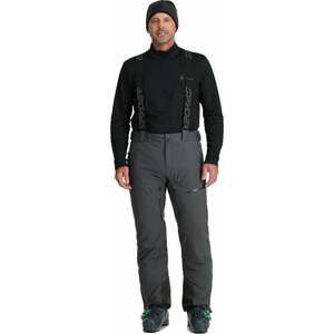 Spyder Mens Dare Ski Pants Polar 2XL