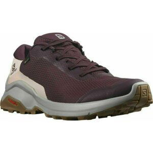 Salomon Dámske outdoorové topánky X Reveal GTX W Wine Tasting/Alloy/Peachy Keen 39 1/3