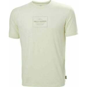 Helly Hansen Skog Recycled Graphic T-Shirt Snow XL