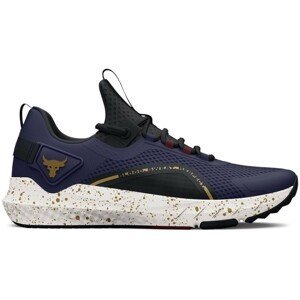 Fitness topánky Under Armour UA Project Rock BSR 3-BLU