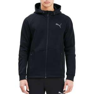 Mikina s kapucňou Puma EVOSTRIPE FZ Hoodie