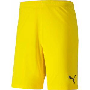 Šortky Puma teamGOAL 23 knit Shorts