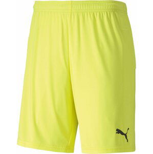 Šortky Puma teamGOAL 23 knit Shorts