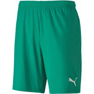 Šortky Puma teamGOAL 23 knit Shorts jr