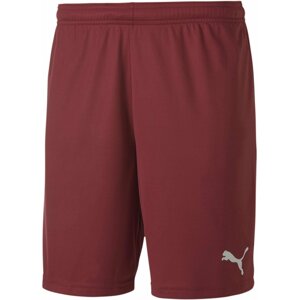 Šortky Puma teamGOAL 23 knit Shorts jr