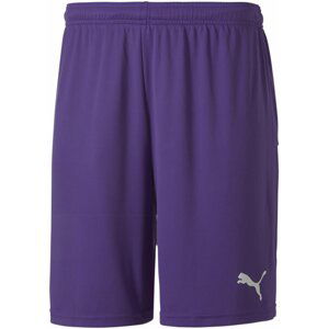 Šortky Puma teamGOAL 23 knit Shorts jr