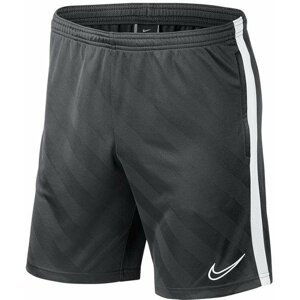 Šortky Nike M NK BRT ACDMY19 SHORT JAQ KP