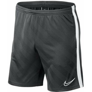 Šortky Nike Y NK BRT ACDMY19 SHORT JAQ KP