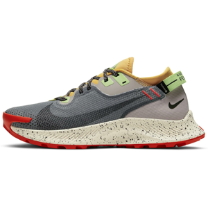 Trailové topánky Nike W  PEGASUS TRAIL 2 GTX