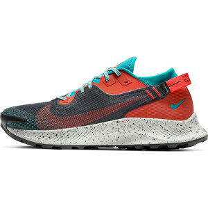 Trailové topánky Nike  Pegasus Trail 2 GORE-TEX