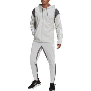 Súprava adidas M Rib Tracksuit