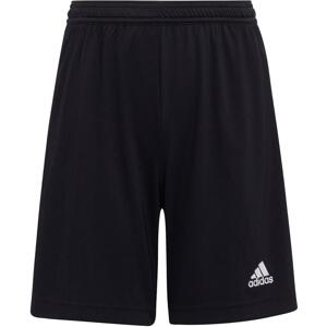 Šortky adidas ENT22 SHO Y