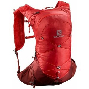 Salomon XT 10 Goji Berry/Madder Brown