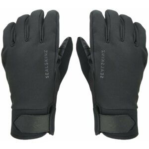 Sealskinz Waterproof All Weather Insulated Gloves Black S