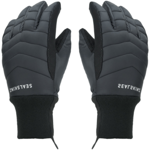 Sealskinz Waterproof All Weather Lightweight Insulated Gloves Black M