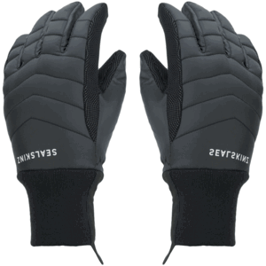 Sealskinz Waterproof All Weather Lightweight Insulated Gloves Black XL