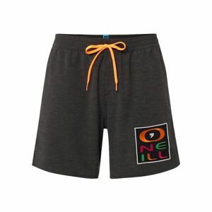 O'Neill PM RE-ISSUE LOGO SHORTS čierna M - Pánske šortky do vody