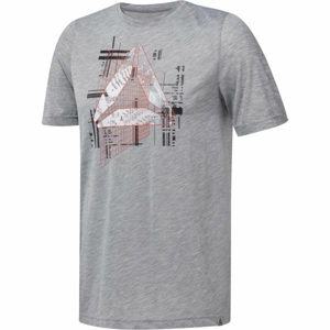 Reebok GS FOUNDATIONS AOP Pánske tričko, sivá,mix, veľkosť