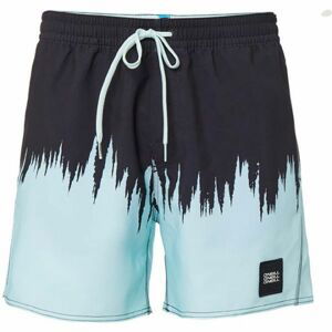 O'Neill PM DIP DYE SHORTS čierna S - Pánske šortky do vody