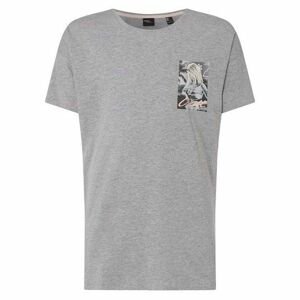 O'Neill LM FLOWER T-SHIRT šedá L - Pánske tričko