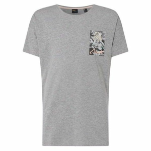 O'Neill LM FLOWER T-SHIRT šedá XXL - Pánske tričko