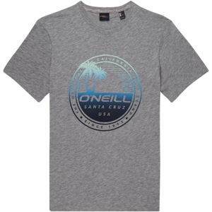 O'Neill LM PALM ISLAND  T-SHIRT šedá M - Pánske tričko