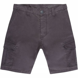 O'Neill LM COMPLEX CARGO SHORTS tmavo šedá 32 - Pánske šortky