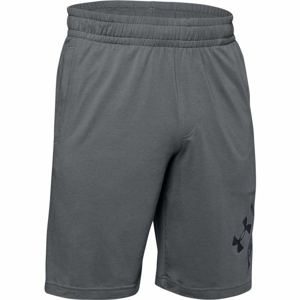 Under Armour SPORTSTYLE COTTON WORDMARK LOGO SHORT sivá M - Pánske šortky