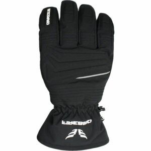 Blizzard FIREBIRD SKI GLOVES Rukavice, čierna, veľkosť 10