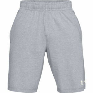 Under Armour COTTON LOGO SHORTS šedá XL - Pánske šortky