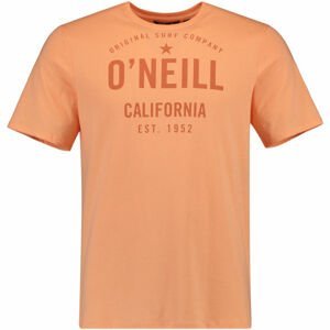 O'Neill LM OCOTILLO T-SHIRT Pánske tričko, , veľkosť