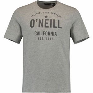 O'Neill LM OCOTILLO T-SHIRT šedá S - Pánske tričko