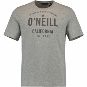 O'Neill LM OCOTILLO T-SHIRT šedá M - Pánske tričko