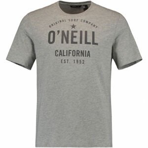 O'Neill LM OCOTILLO T-SHIRT šedá XL - Pánske tričko