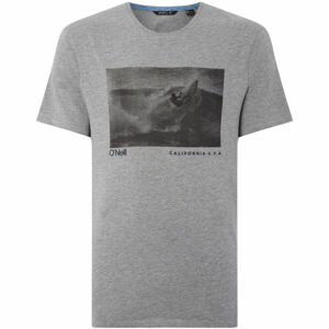 O'Neill LM PHOTOPRINT T-SHIRT Pánske tričko, sivá, veľkosť S