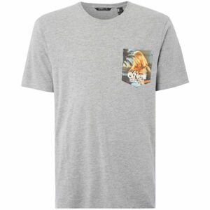 O'Neill LM PRINT T-SHIRT šedá M - Pánske tričko