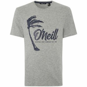 O'Neill LM PALM GRAPHIC T-SHIRT šedá S - Pánske tričko