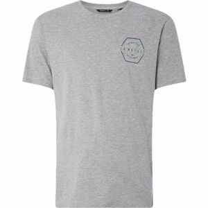 O'Neill LM PHIL T-SHIRT Pánske tričko, sivá, veľkosť S