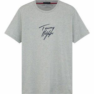 Tommy Hilfiger CN SS TEE LOGO  M - Pánske tričko
