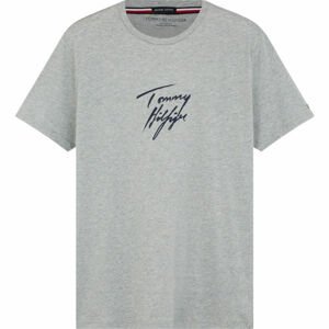 Tommy Hilfiger CN SS TEE LOGO  S - Pánske tričko